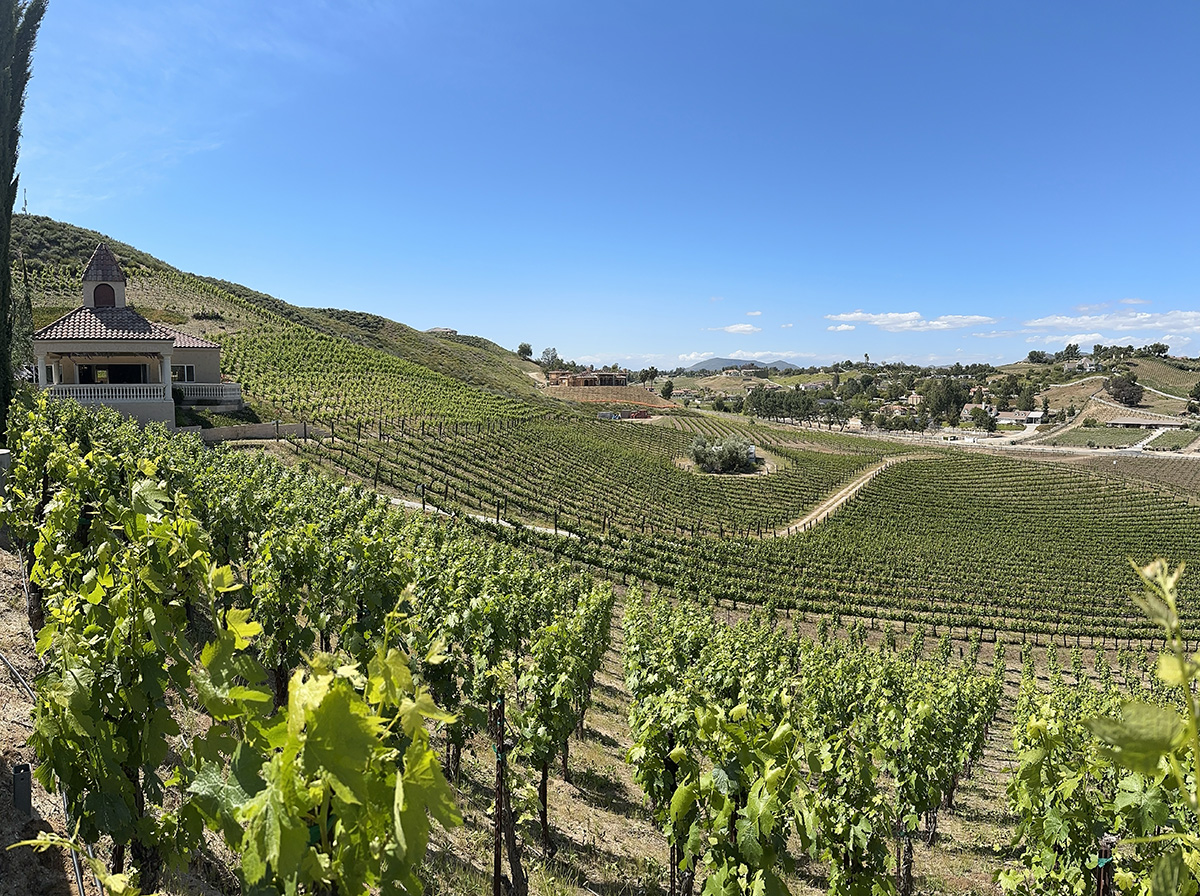 This Father’s day weekend, Tour dad across the urban-rustic town of temecula